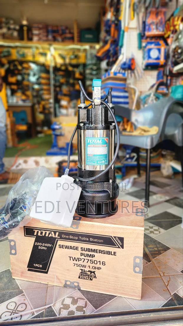 Total 1.0 Horsepower Submersible Sewage Pump- Stainless · Photo 1