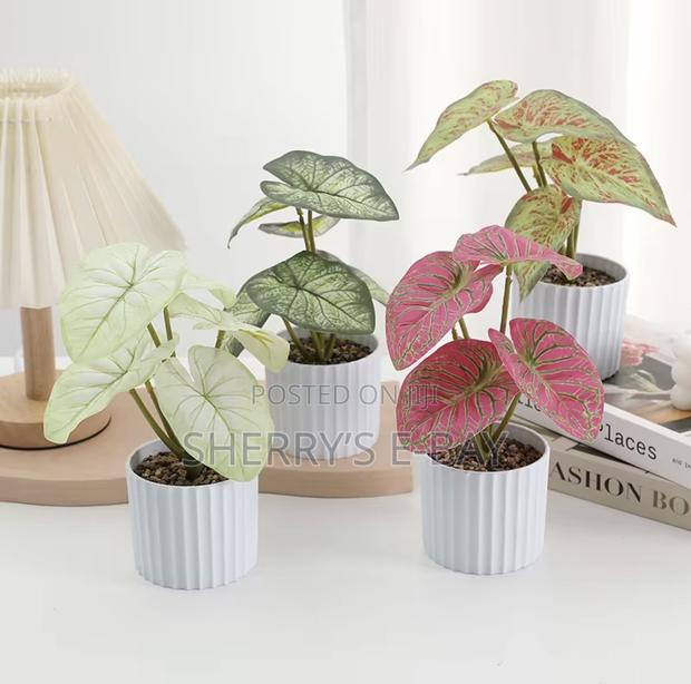 Artificial Plants · Photo 4