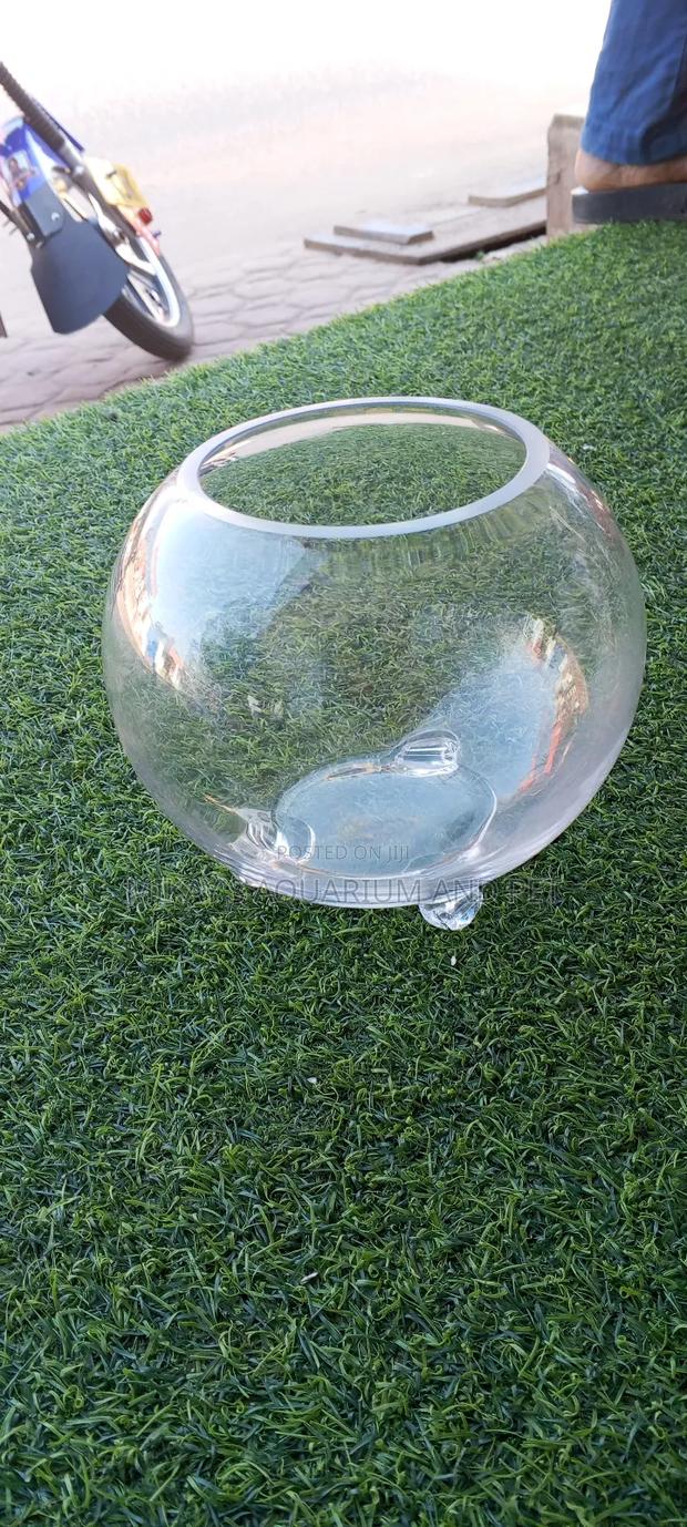 Aquarium Glass Bowl · Photo 1