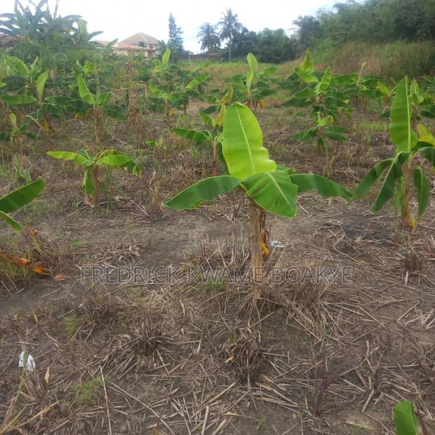 3 Plots of Land for Sale at Asuoyeboah Tanoso · Photo 4