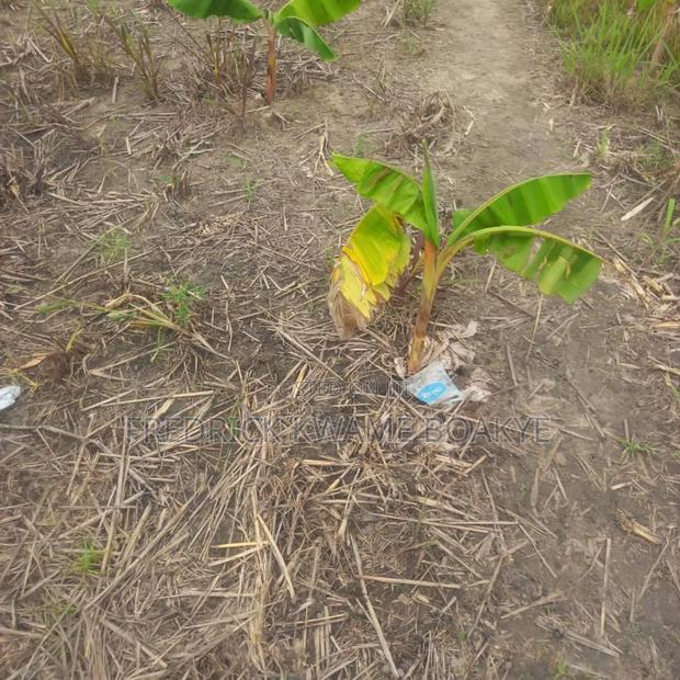 3 Plots of Land for Sale at Asuoyeboah Tanoso · Photo 6