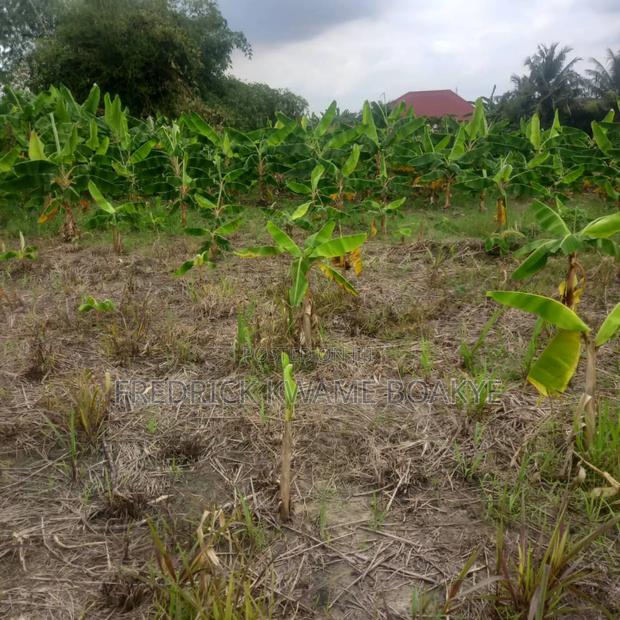 3 Plots of Land for Sale at Asuoyeboah Tanoso · Photo 7