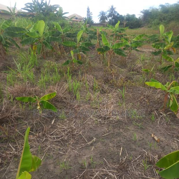3 Plots of Land for Sale at Asuoyeboah Tanoso · Photo 8