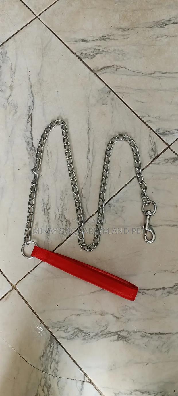 Metal Chain for Dogs · Photo 1