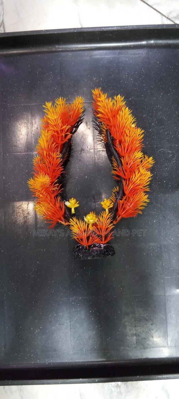 Plant for Aquarium Decor · Photo 1