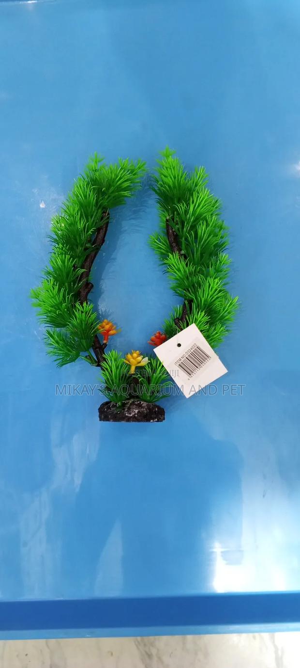 Plant for Aquarium Decor · Photo 2