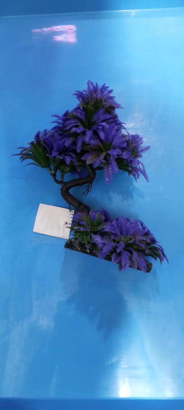 Plant for Aquarium Decor · Photo 3