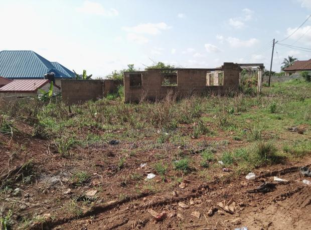 Plot of Land for Sale at Agric Akyeremade · Photo 7