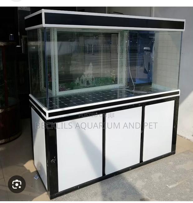 Huge Imported Aquarium · Photo 1