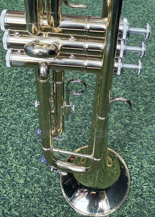 Saxophone/Alto-Suck · Photo 4