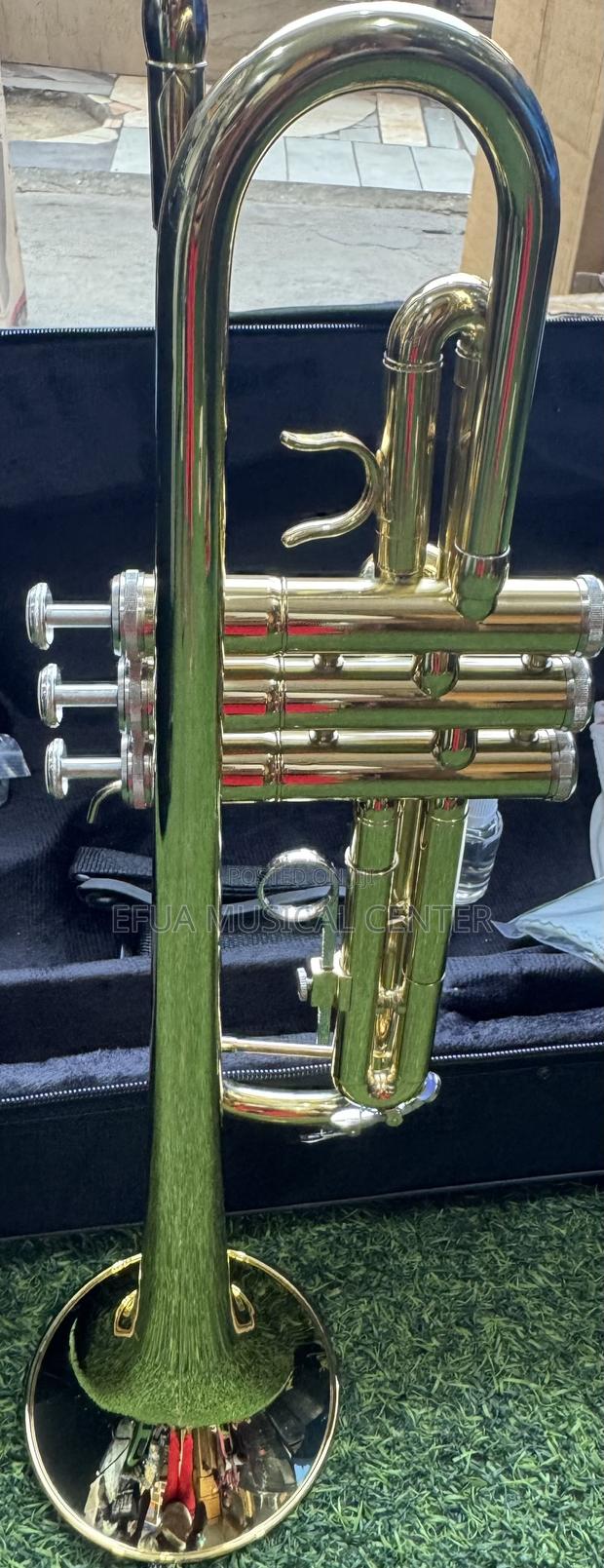 Saxophone/Alto-Suck · Photo 3