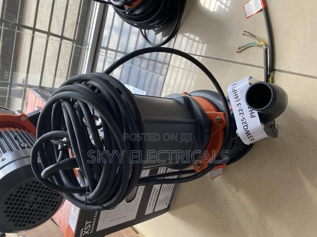 Leo 65wq25-22 - 3kw (4hp)3 Phase Submersible Sewage Pumps · Photo 1