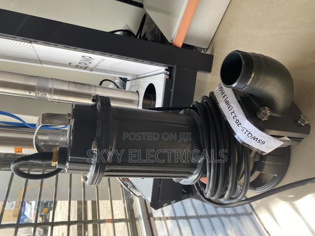 Leo 65wq15-20-2.2 (3hp)3phase Submersible Sewage Pump · Photo 1