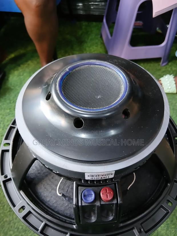 A Pair of RCF 12 Inches Naked Speakers · Photo 3