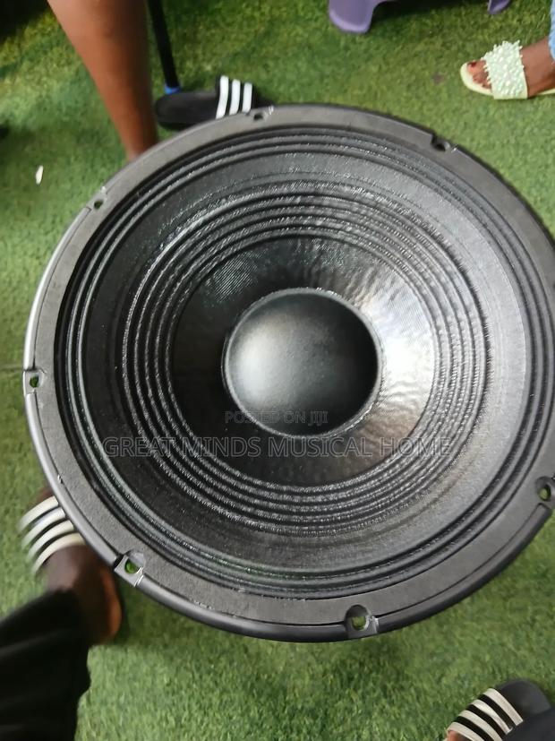 A Pair of RCF 12 Inches Naked Speakers · Photo 4