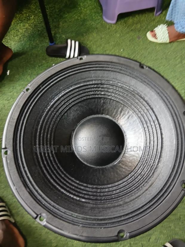 A Pair of RCF 12 Inches Naked Speakers · Photo 5