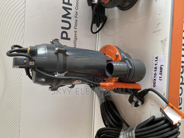 Leo Dq10-18-1.1a(1hp) Sewage Water Pumb · Photo 1