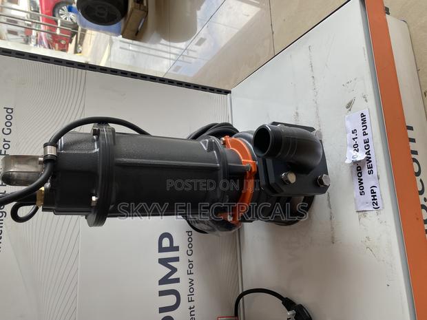 Leo 50wqd10-20-1.5 (2hp)Submersible Pump · Photo 1