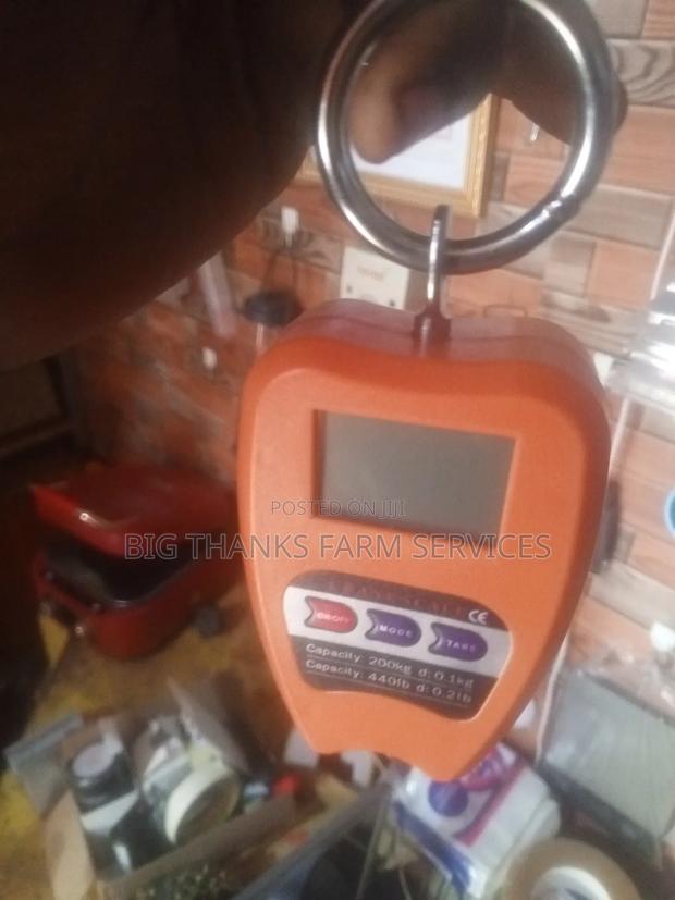 200kg Scale · Photo 2