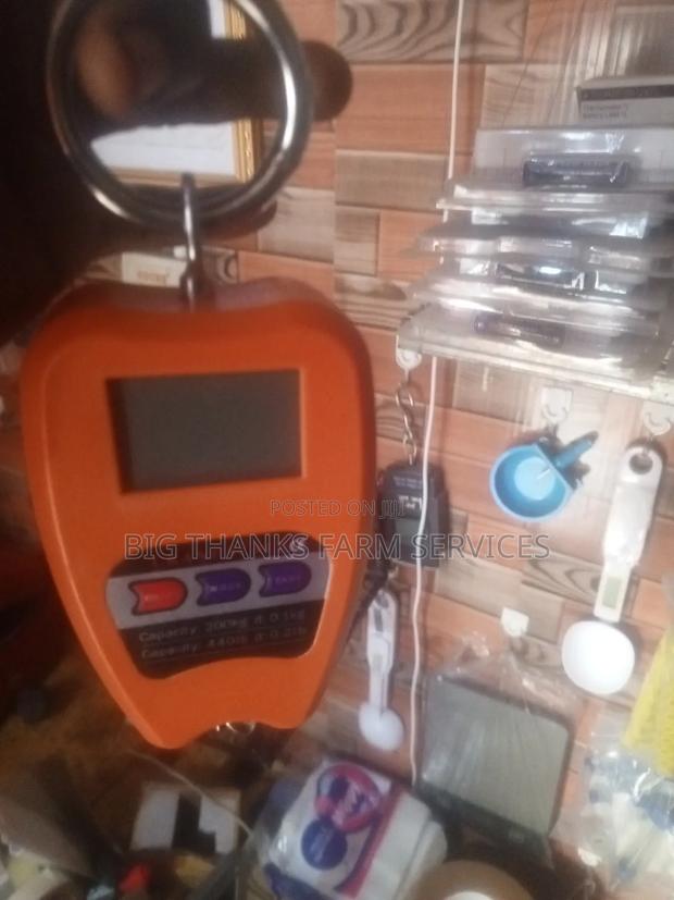 200kg Scale · Photo 3