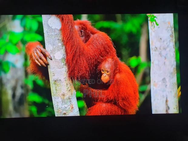 Home Used 75" Sony Andriod Resolution Smart Tv for Sale · Photo 6