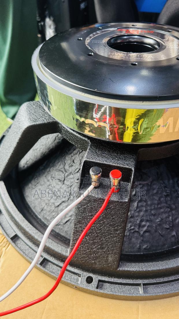 V-C 18 Inches Naked Speaker · Photo 1