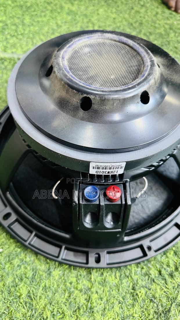 RCF 12 Inches Naked Speaker Single Magnet · Photo 3