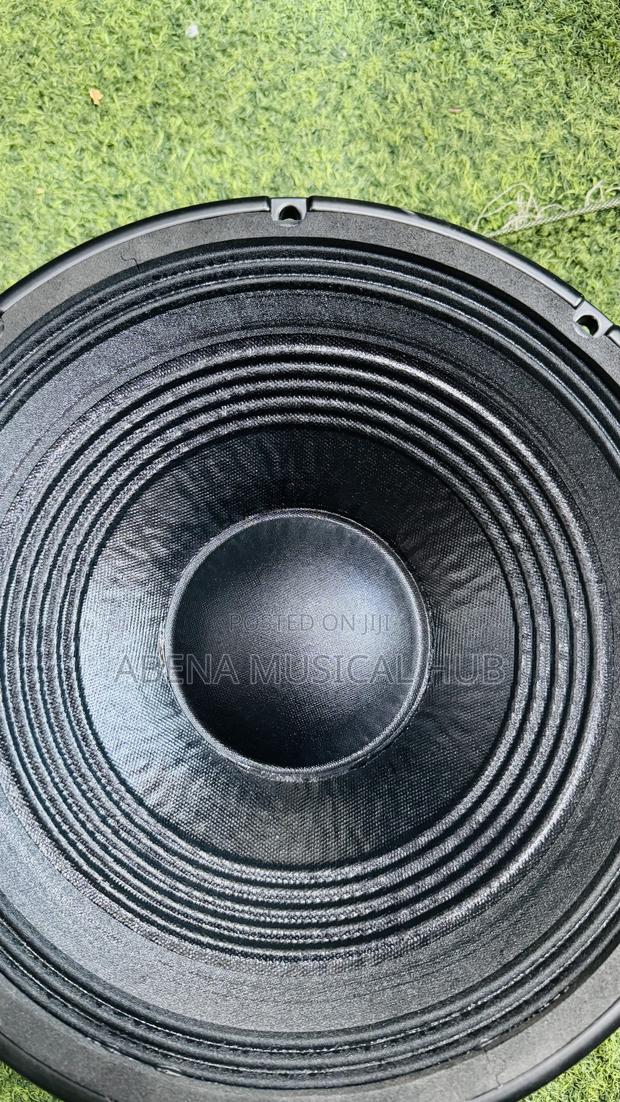 RCF 12 Inches Naked Speaker Single Magnet · Photo 4