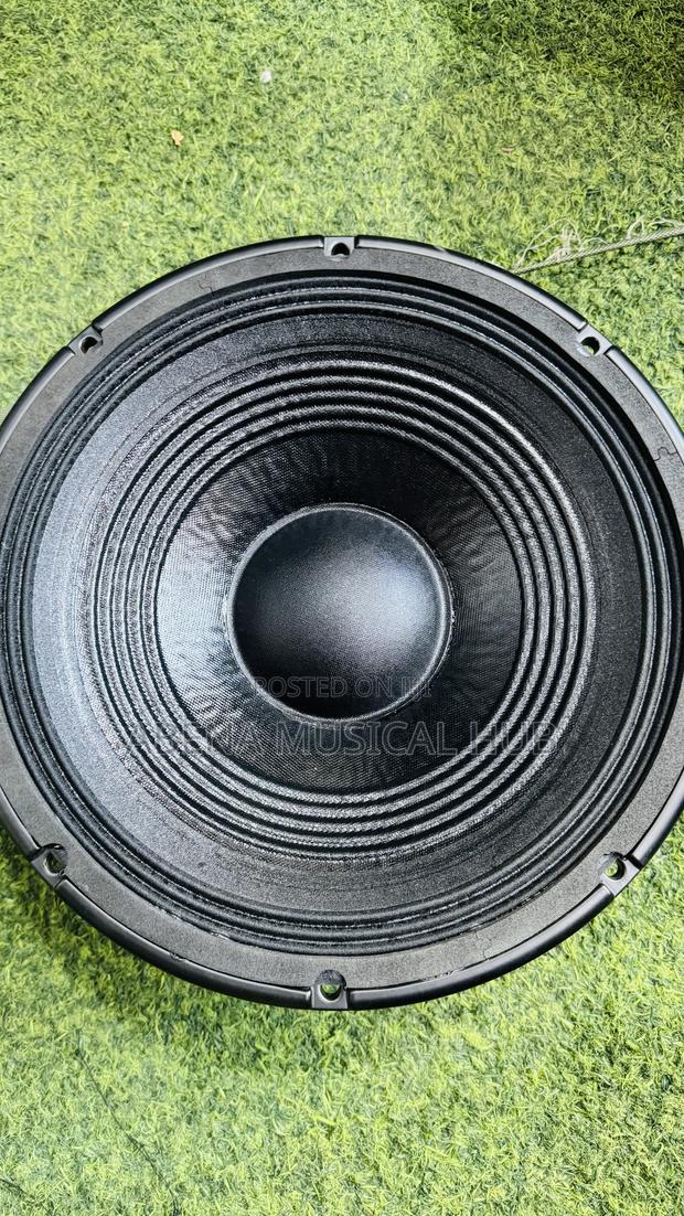 RCF 12 Inches Naked Speaker Single Magnet · Photo 5