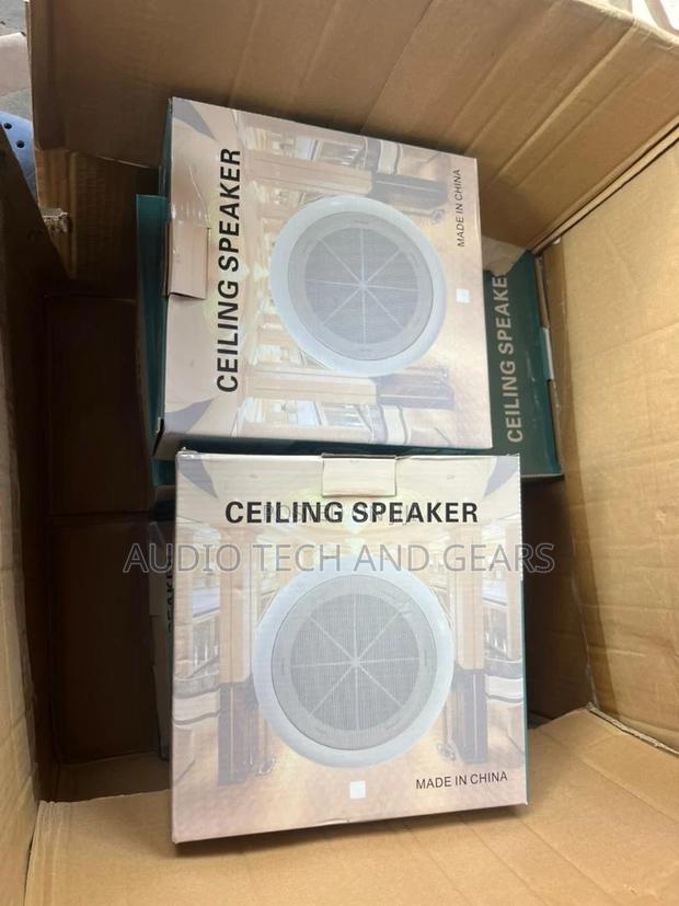 Ceiling Speaker · Photo 1