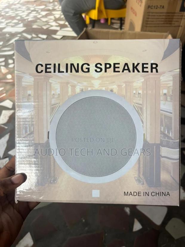 Ceiling Speaker · Photo 2