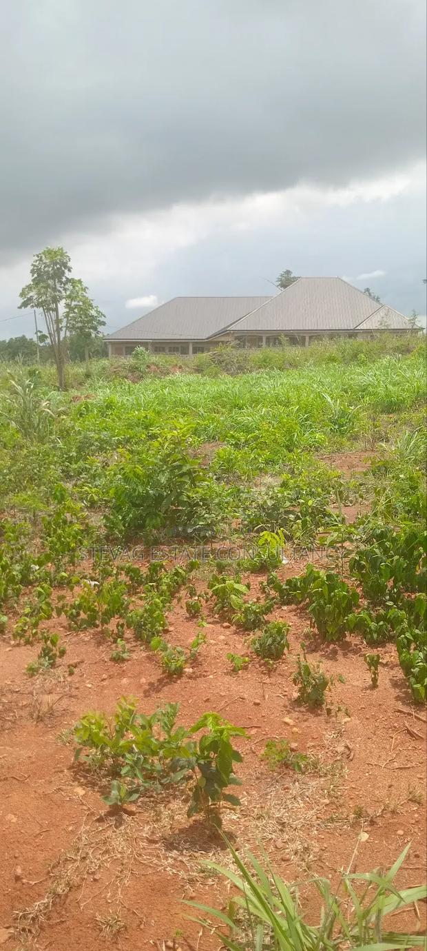 Alpha Real Estate Company LTD Land for Sale at Kasoa Akraman · Photo 2