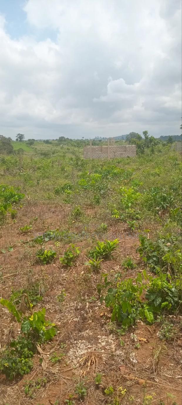 Alpha Real Estate Company LTD Land for Sale at Kasoa Akraman · Photo 4