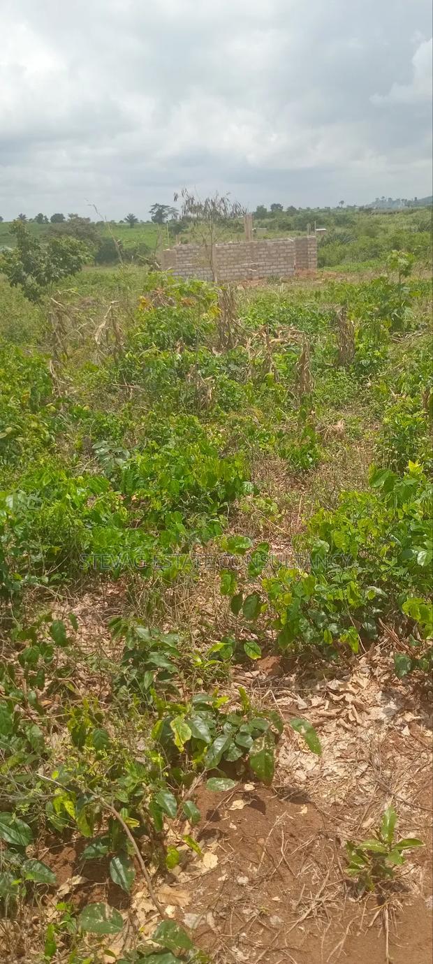 Alpha Real Estate Company LTD Land for Sale at Kasoa Akraman · Photo 5