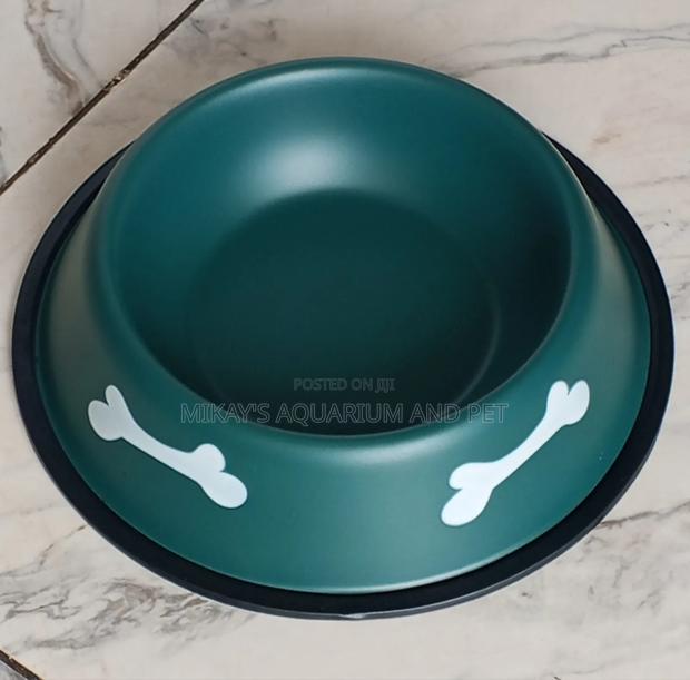 Medium Dog Bowl · Photo 1