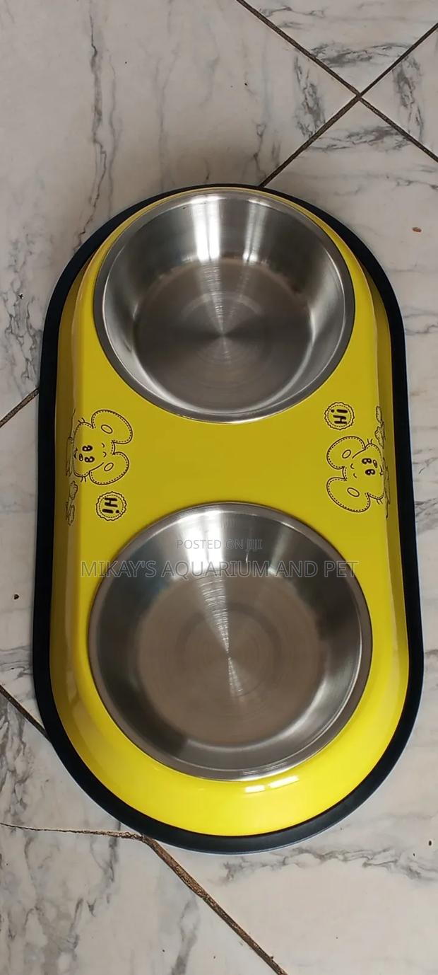 Bowl for Dog · Photo 1