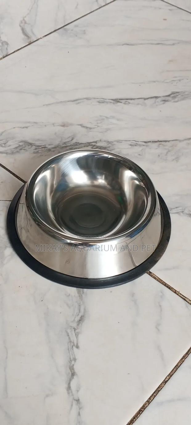 Small Dog Bowl for Feeding · Photo 1