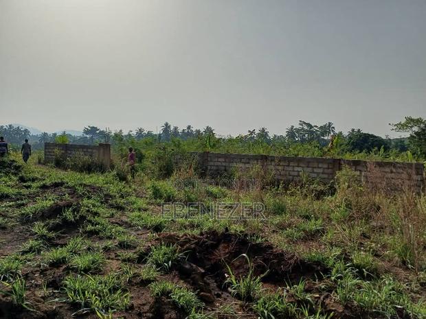 Multiple Registered Lands for Sale · Photo 4