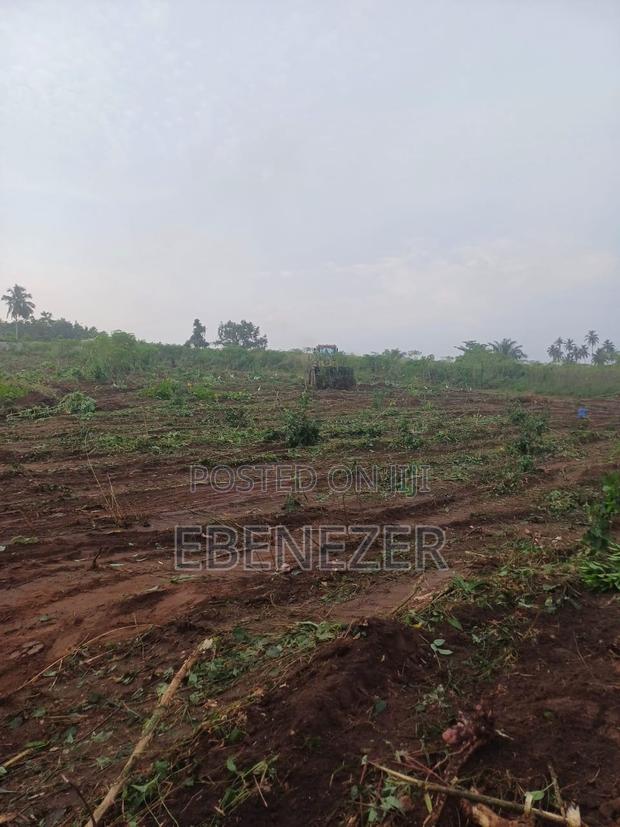 Multiple Registered Lands for Sale · Photo 5