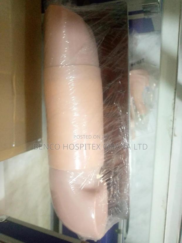 Arm Model (Short) · Photo 1