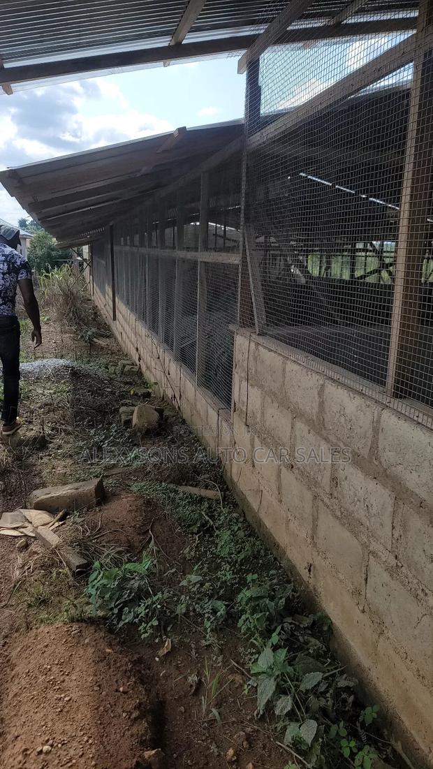 2 Acres of Land, Poultry Farm Land With Bed Room, Ofices, Water, Light · Photo 2
