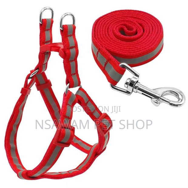 Reflective Leash Harness · Photo 1