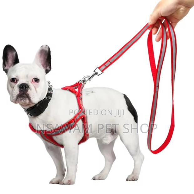 Reflective Leash Harness · Photo 2