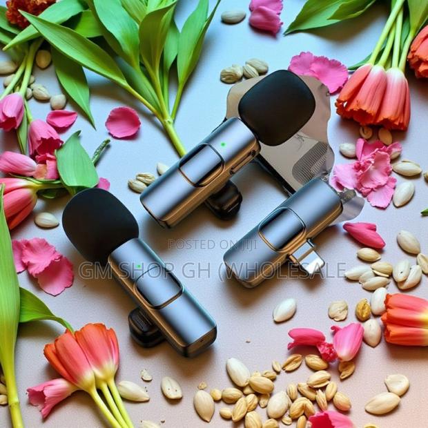 2 in 1 Wireless Microphone (543400) · Photo 1