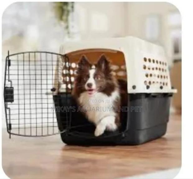Plastic Mini Dog Cages · Photo 1