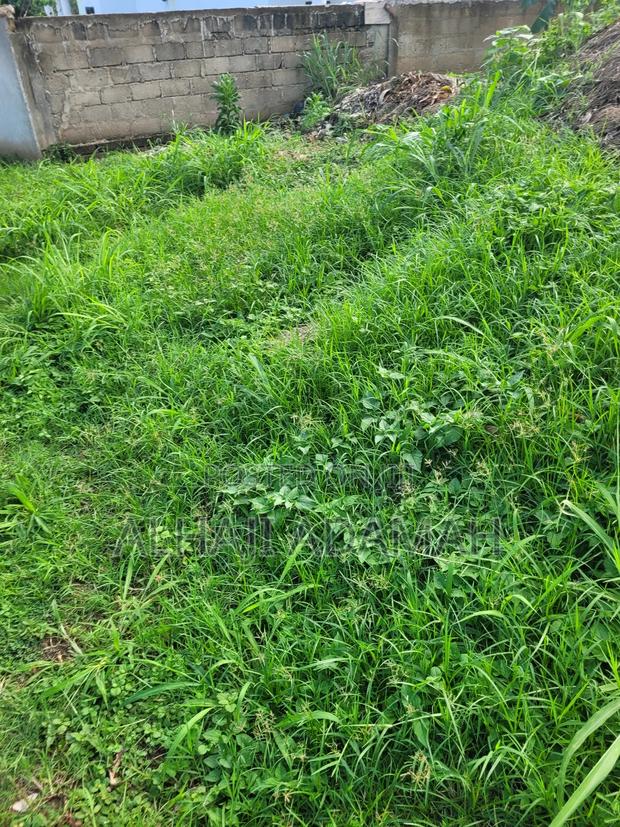 One Acre of Land for Sale Between Santasi and Apire Main Road · Photo 6