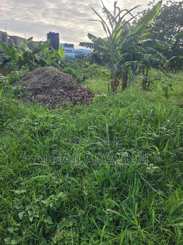 One Acre of Land for Sale Between Santasi and Apire Main Road · Photo 7