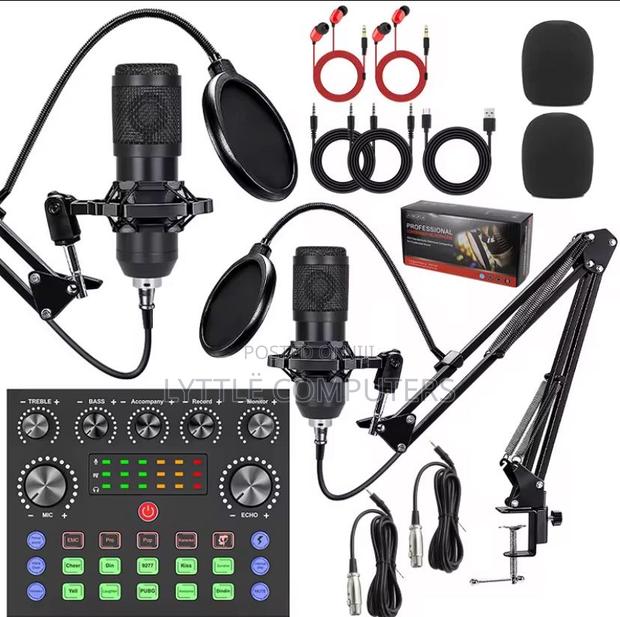 Professional Double Condenser Microphone · Photo 1