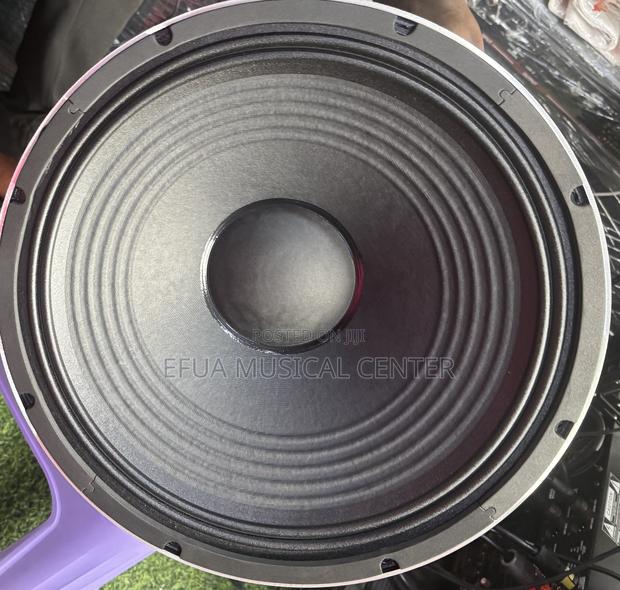 Jac 15-Inches Single Magnet Speaker · Photo 6