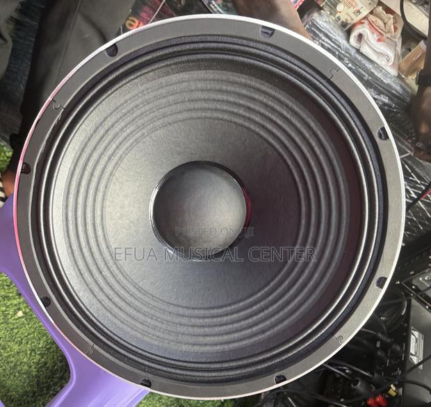 Jac 15-Inches Single Magnet Speaker · Photo 7